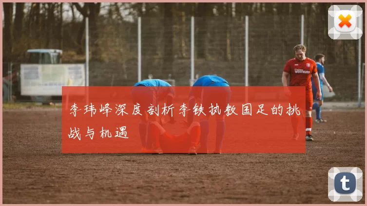 李玮峰深度剖析李铁执教国足的挑战与机遇